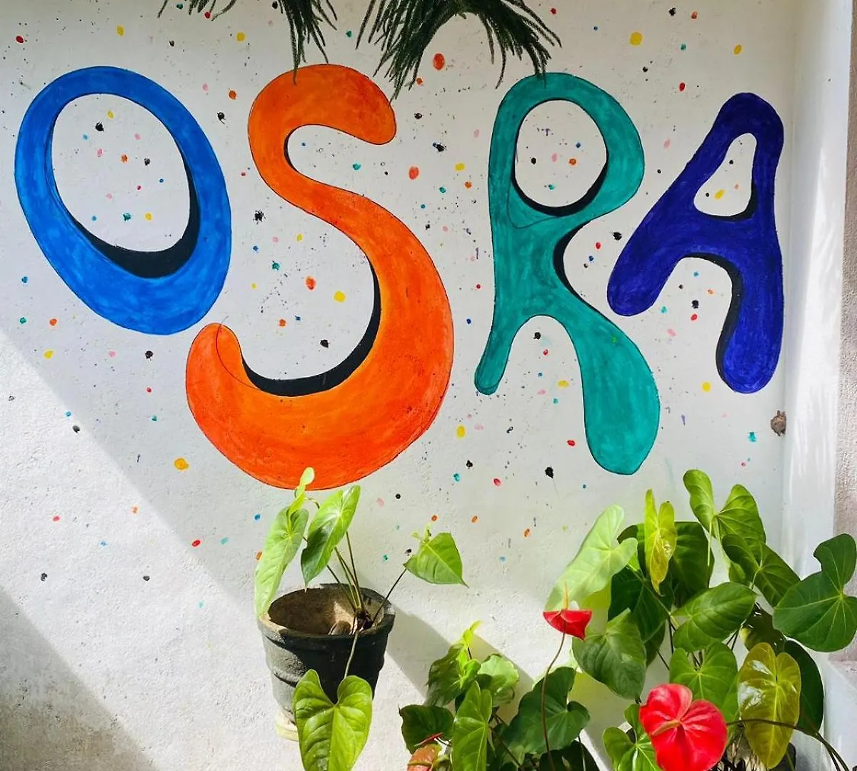 Homestay Osra Cottage And Tourism Katunayake