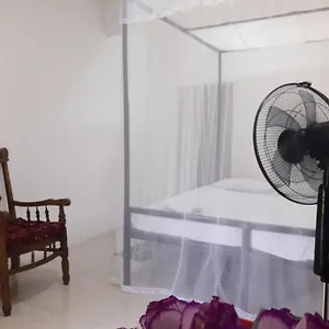 T & U Homestay